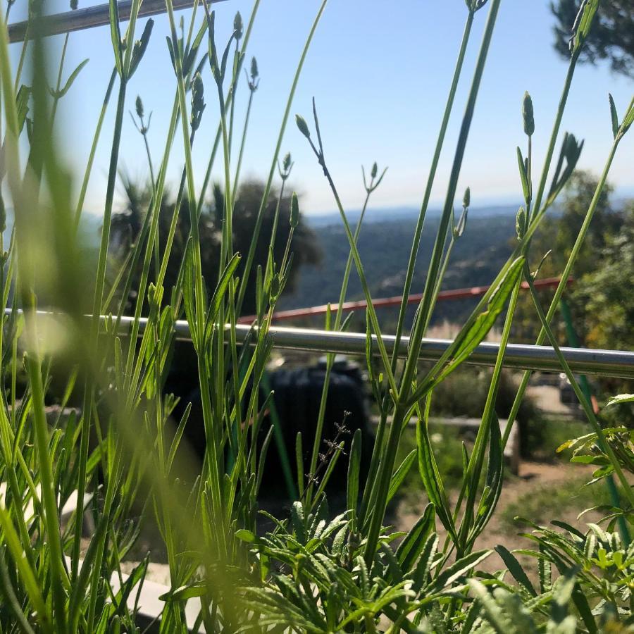 "Aux Balcons Du Riou" Avec Vue Mer 180 Degres ヴァンス エクステリア 写真